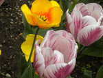 DSCN1962.JPG