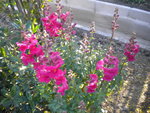 DSCN1973.JPG