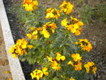DSCN1985.JPG