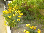 DSCN1987.JPG
