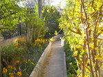 DSCN1988.JPG