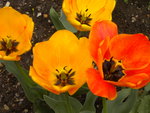DSCN1957.JPG