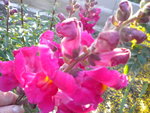 DSCN1974.JPG