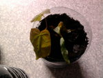 Photo0827.jpg