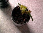 Photo0830.jpg