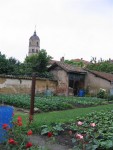 IMG_2002.JPG