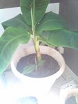 2011-04-05%2016_23_01.jpg