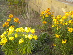 DSCN1986.JPG