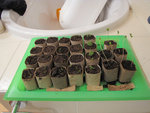 Copy of IMG_7960.JPG