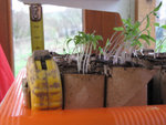 Copy of IMG_7949.JPG