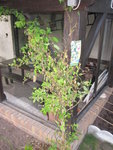 IMG_0790.JPG