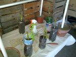 20090206_003.jpg