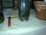 20090206_009.jpg