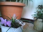 Picture0016.jpg
