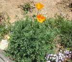 IMG_2569.JPG