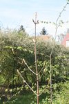 IMG_7976.JPG
