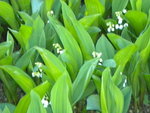 DSCN2012.JPG