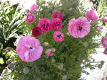 DSCN2021.JPG