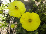 DSCN2022.JPG