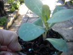 DSCN2028.JPG