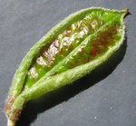 IMG_2544.JPG