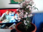 Picture 9.jpg