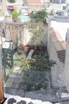 mon jardin vu du premier etage!