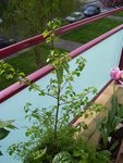 100_33301.jpg