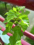 100_33331.jpg