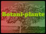 Botani-plante logo.jpg
