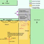plan1.jpg