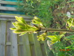 DSCN7607.JPG