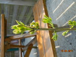 DSCN7608.JPG