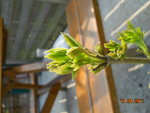 DSCN7609.JPG