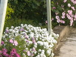 DSCN2037.JPG