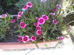 DSCN2042.JPG