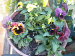DSCN2044.JPG