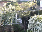 DSCN2046.JPG