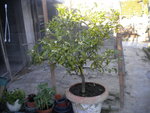 DSCN2047.JPG