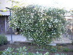 DSCN2048.JPG