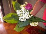 DSCN2035.JPG