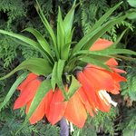 2011-04-12_13-05-33_79.jpg