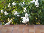 DSCN2060.JPG
