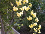 DSCN2061.JPG