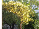 DSCN2063.JPG