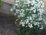 DSCN2055.JPG