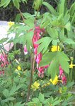 2011-04-12_14-53-44_351.jpg