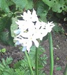2011-04-12_14-54-43_905.jpg