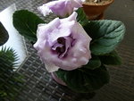 P4121112.JPG