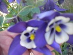 DSCN2025.JPG